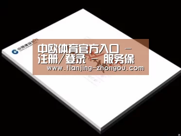 项目名称七