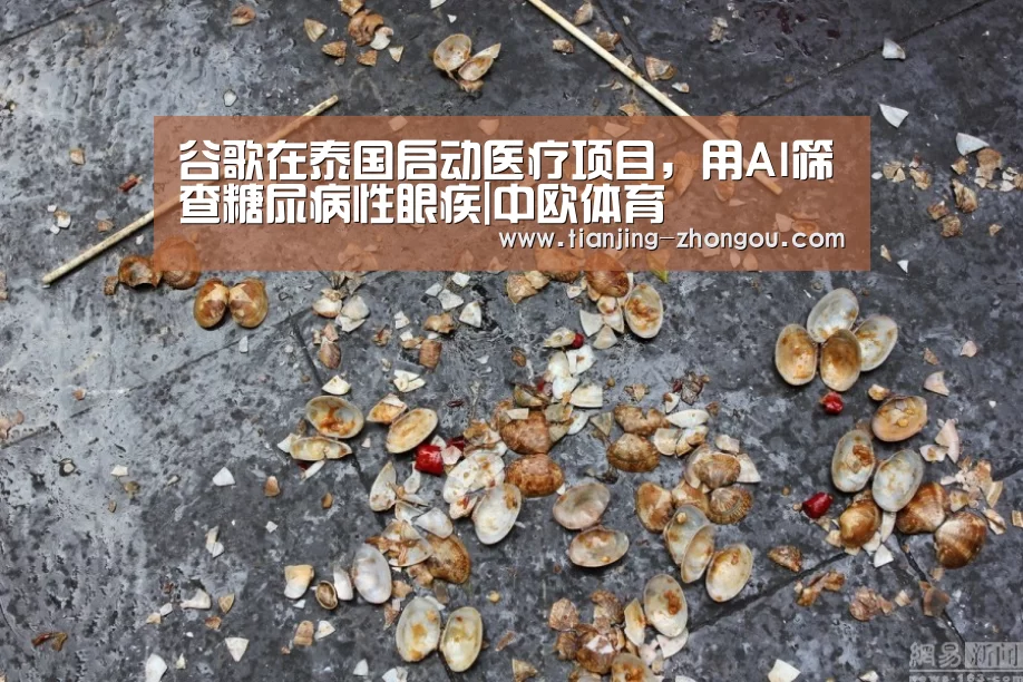 中欧体育直播
