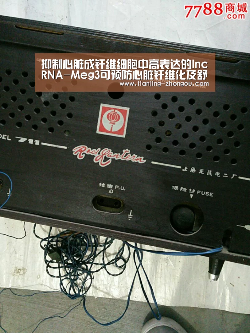 中欧体育