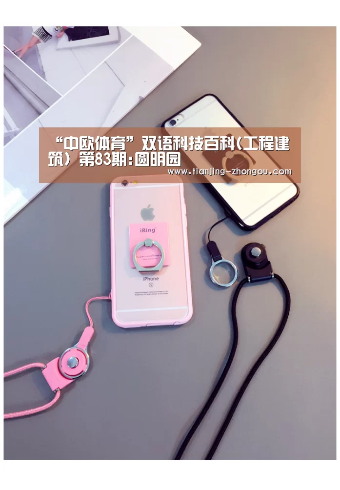中欧体育