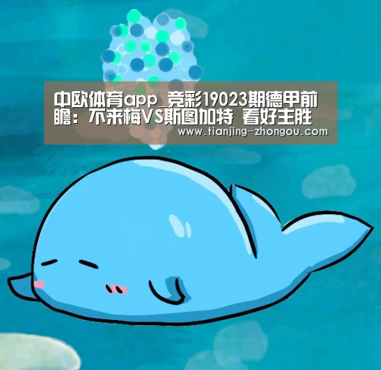 中欧体育