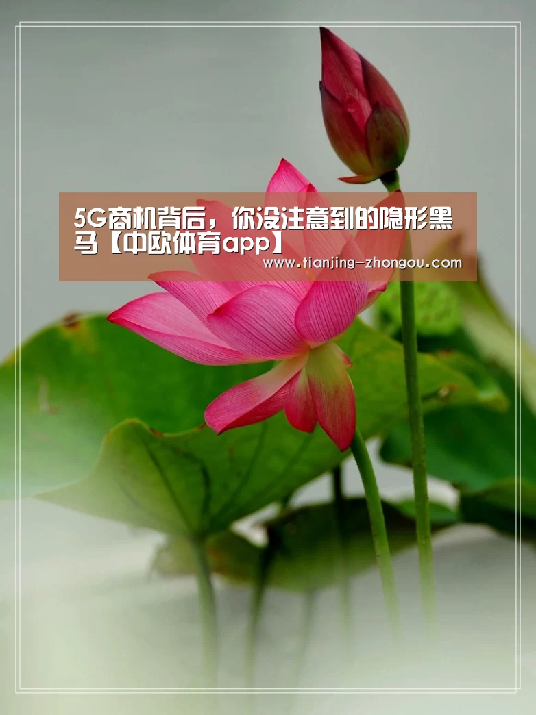 5G商机背后,你没注意到的隐形黑马【中欧体育app】(图1) 中欧体育