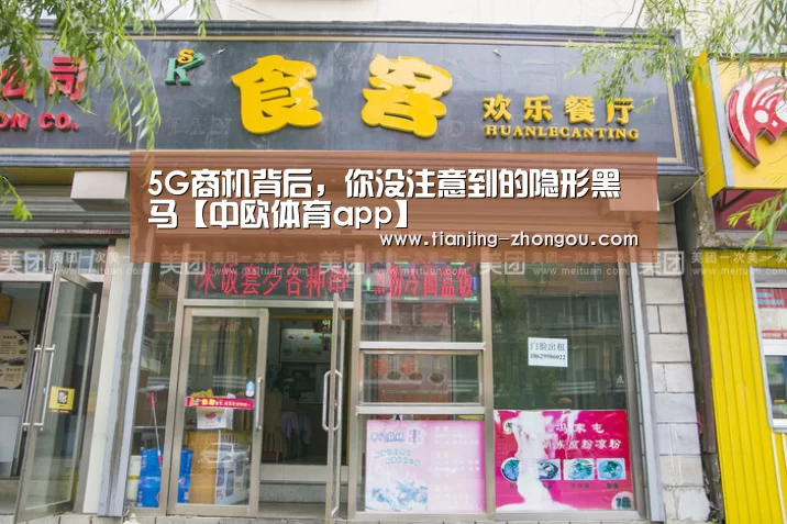 5G商机背后,你没注意到的隐形黑马【中欧体育app】(图2) 中欧体育