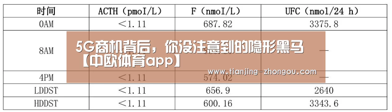 5G商机背后,你没注意到的隐形黑马【中欧体育app】(图4) 中欧体育