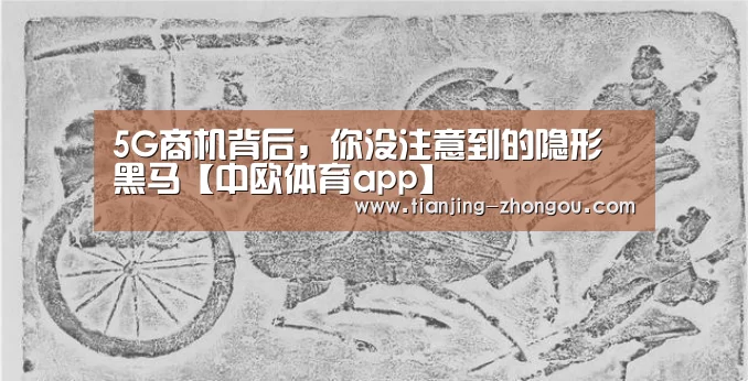 5G商机背后,你没注意到的隐形黑马【中欧体育app】(图3) 中欧体育直播