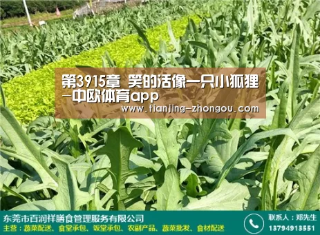 第3915章 笑的活像一只小狐狸-中欧体育app(图1) 中欧体育入口
